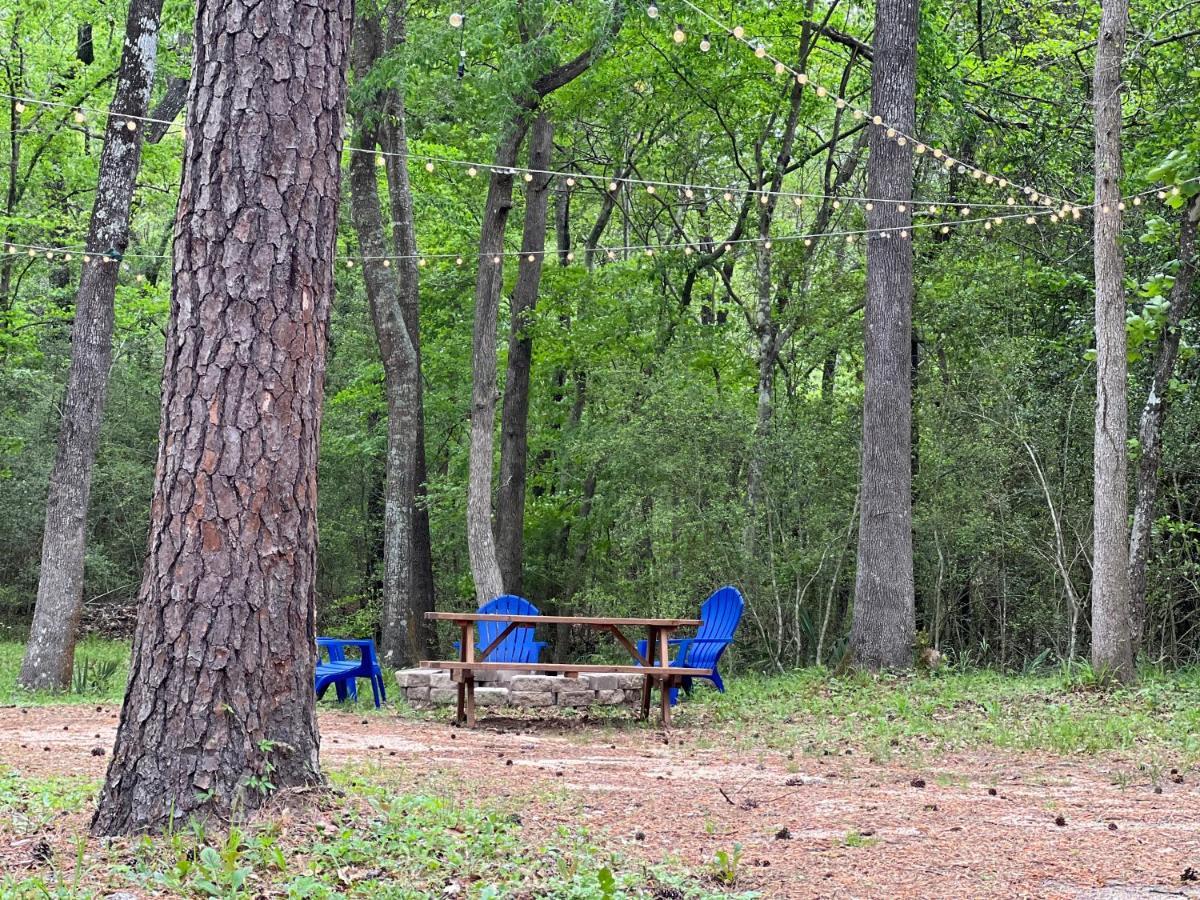 2 Bdrm Treehouse Hideout- Lake Conroe With Boat Ramp Montgomery Dış mekan fotoğraf
